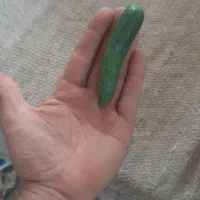 خیار شور