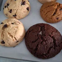 کوکی وکیک کافه ای|خوردنی و آشامیدنی|اهواز, فولادشهر|دیوار