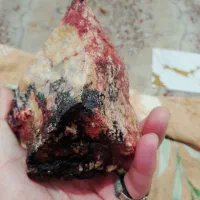 سنگ راف شجر کلکسیونی و سنگ به صورت مار|کلکسیون اشیاء عتیقه|پرند, فاز ۶|دیوار