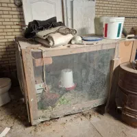 مرغ وخروس با قفس|حیوانات مزرعه|اسلام‌شهر, شهرک صنعتی چیچکلو|دیوار