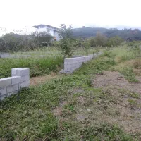 فروش-زمین-270-متری-در-کتالم-سن-شش-دانگ