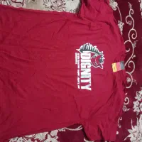 تیشرت اورپایی