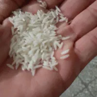 فروش برنج هاشمی گیلان فلاح(مسعود)|خوردنی و آشامیدنی|کرج, شهرک امام رضا (ع)|دیوار