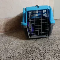 باکس