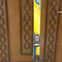 چوب اسکی سالامون