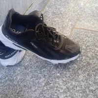 شماره ۴۳شماره ۴۲ هردوتاش پانصدتومان|کیف، کفش، کمربند|اهر, |دیوار