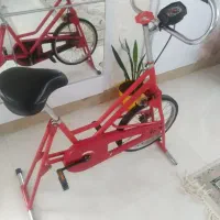 دوچرخه ثابت و الپتیکال  برای لاغری و تقویت عضلات|تجهیزات ورزشی|اصفهان, سپاهان‌شهر|دیوار