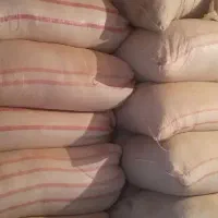 کاه گندم دیم و کاه یولاف|حیوانات مزرعه|کرمانشاه, |دیوار