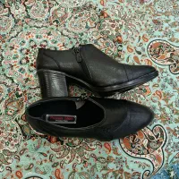 کفش نو|کیف، کفش، کمربند|کوهدشت, |دیوار