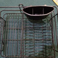 آبچکان با سینی در حد نو|آبچکان و نظمدهنده ظروف|قم, چهل درخت|دیوار