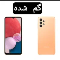 گوشی گم شده