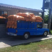 حمل بار بانیسان/اثباب کشی/کیوی /داخلی وشهرستان|خدمات حمل و نقل|تالش, تالش|دیوار