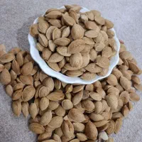 فروش بادام سنگی ارگانیک