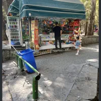 فروشندگی دکه تنقلات