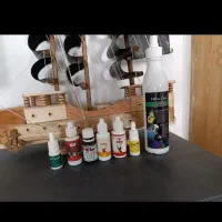 قطره عروس هلندی