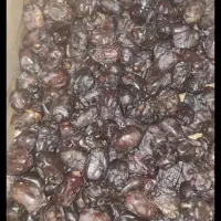 خرمابرابارکسی خواست