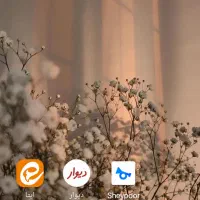 کار در موسسه خیریه