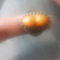 انگشتر نقره روس