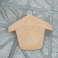 آنتن