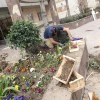 انجام خدمات باغبانی سمپاشی هرس کاشت گیاهان زینتی آ|خدمات باغبانی و درختکاری|تهران, زعفرانیه|دیوار