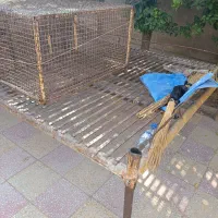 فروش تخت و قفسه|تخت و سرویس خواب|دهدشت, |دیوار