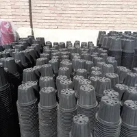 گلدان پلاستیکی گلخانه ای نشایی و سطل و جعبه ای|گل و گیاه طبیعی|کهریزک, |دیوار