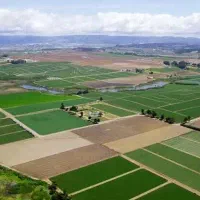 اجاره زمین آبی کشاورزی