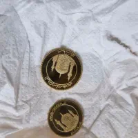 نیم  بانکی