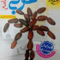 عربی جامع خیلی سبز