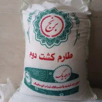 فروش  برنج مستقیم از تولید به مصرف بی واسطه