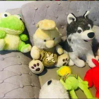 اسباب بازی|اسباببازی|اهواز, شهدای انتظامی|دیوار