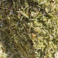 کاه عدس وکاه لوبیا وکاه گندم و نخود وینجه