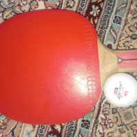 پینگ پنگ آلمان