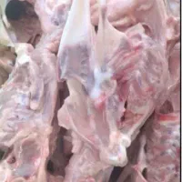 اسکلت مرغ
