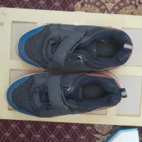 کفش|کیف، کفش، کمربند|باقرشهر, |دیوار