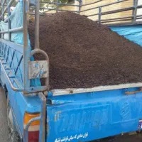 کودحیوانی|خدمات باغبانی و درختکاری|شیراز, گویم|دیوار