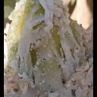 شیره یاشهدشفاافرین