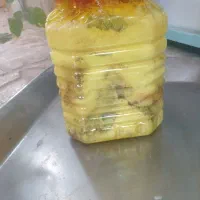 ماهی سوری صادراتی|ماهی|میناب, |دیوار