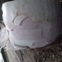 جای تخم کفتر