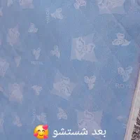 مبلشویی در منزل (بهار)|خدمات نظافت|میبد, |دیوار