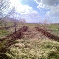 سامان ،کاه حدود ۵۰ خلوار