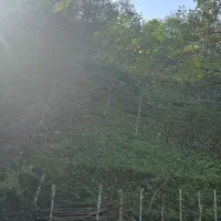 زمین داخل روستا در میانا|فروش زمین و ملک کلنگی|فریم, |دیوار