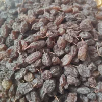 کشمش تازه ،آفتاب خشک|خوردنی و آشامیدنی|اسلام‌شهر, مسکن مهر اسلاشهر (شهرک امام خمینی)|دیوار