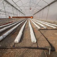 گلخانه ۱۸۶۴۶متر واقع در مرند قابل معاوضه|فروش دفتر صنعتی، کشاورزی، تجاری|مرند, |دیوار