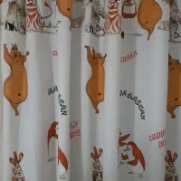 فرش ۴متری و پرده کودک|فرش|رشت, رشتیان|دیوار