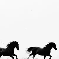 راهنمایی برا سرمایه گذاری