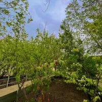 اجاره ویلا استخر سرپوشیده ابگرم باغبهادران|اجارهٔ خانه و ویلا|باغ بهادران, |دیوار