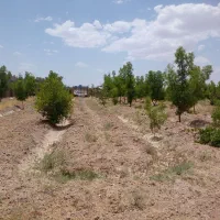 باغ۱۵۰۰مترهمراه بایک ساعت آب چاه شمس اباد|فروش دفتر صنعتی، کشاورزی، تجاری|بیرجند, |دیوار