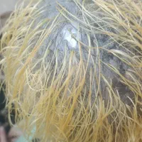 رنگ ومش و لایت