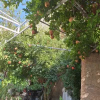 خانه|فروش خانه و ویلا|شیراز, شهرک مهدیه|دیوار